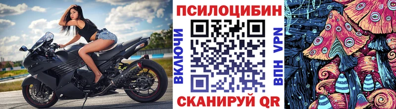 Купить закладки  Лодейное Поле  Псилоцибиновые грибы Psilocybe 