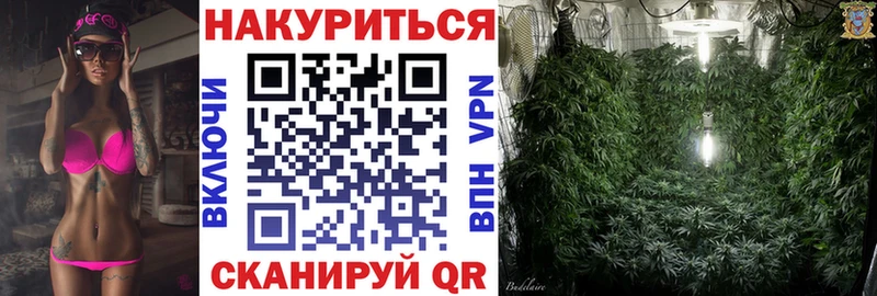 Шишки марихуана сатива  Купить  Лодейное Поле 
